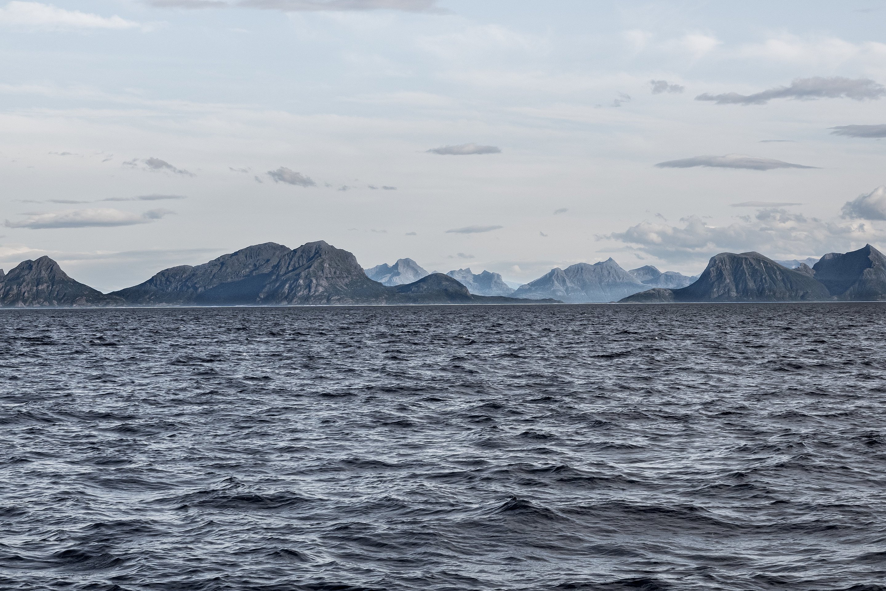 Lerøy 1920X1080 5