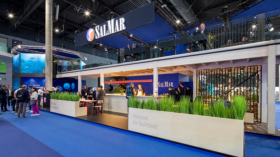 mt-messestand.jpg